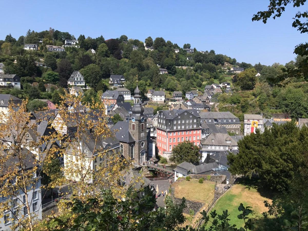 Villa Holgenbach - Penthouse- Und Ferienwohnung Im Nationalpark Eifel Schleiden Esterno foto