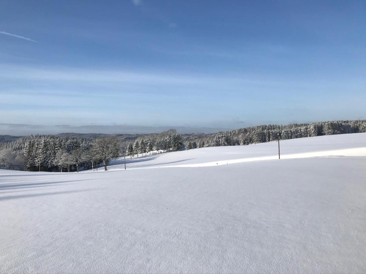 Villa Holgenbach - Penthouse- Und Ferienwohnung Im Nationalpark Eifel Schleiden Esterno foto