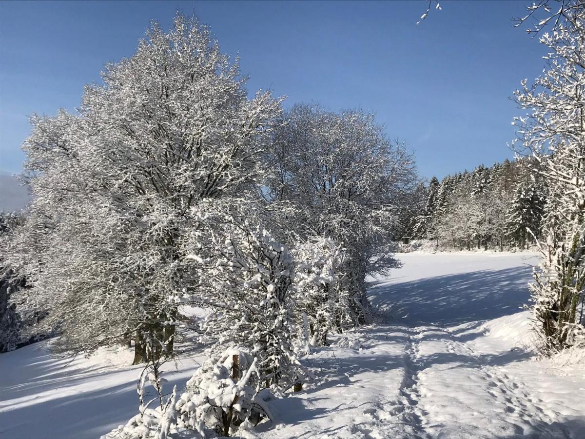 Villa Holgenbach - Penthouse- Und Ferienwohnung Im Nationalpark Eifel Schleiden Esterno foto
