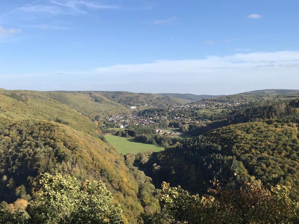Villa Holgenbach - Penthouse- Und Ferienwohnung Im Nationalpark Eifel Schleiden Esterno foto