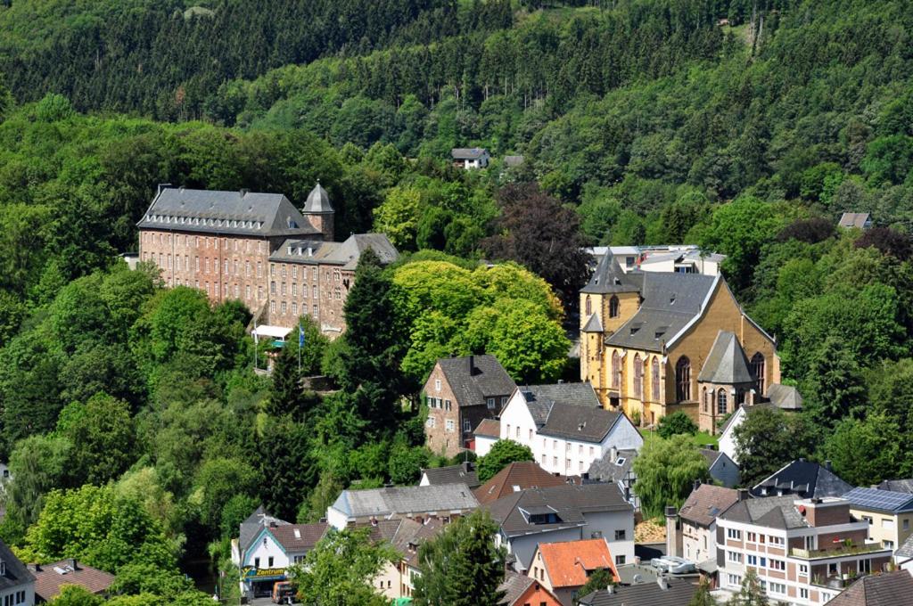 Villa Holgenbach - Penthouse- Und Ferienwohnung Im Nationalpark Eifel Schleiden Esterno foto
