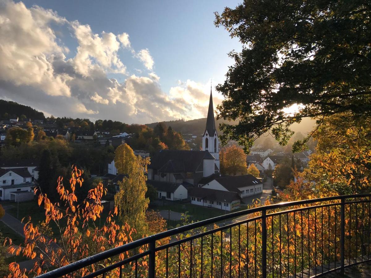 Villa Holgenbach - Penthouse- Und Ferienwohnung Im Nationalpark Eifel Schleiden Esterno foto
