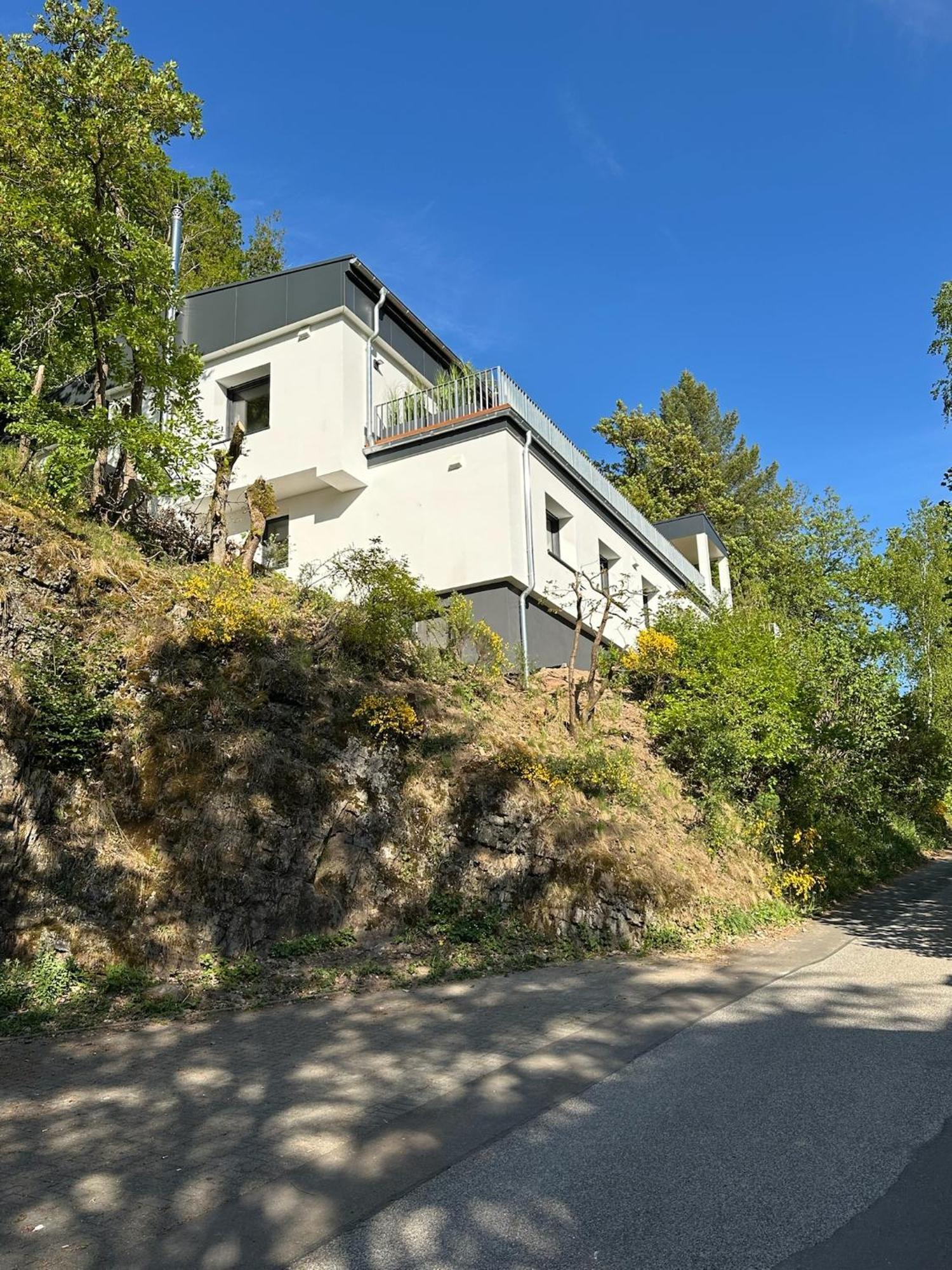 Villa Holgenbach - Penthouse- Und Ferienwohnung Im Nationalpark Eifel Schleiden Esterno foto