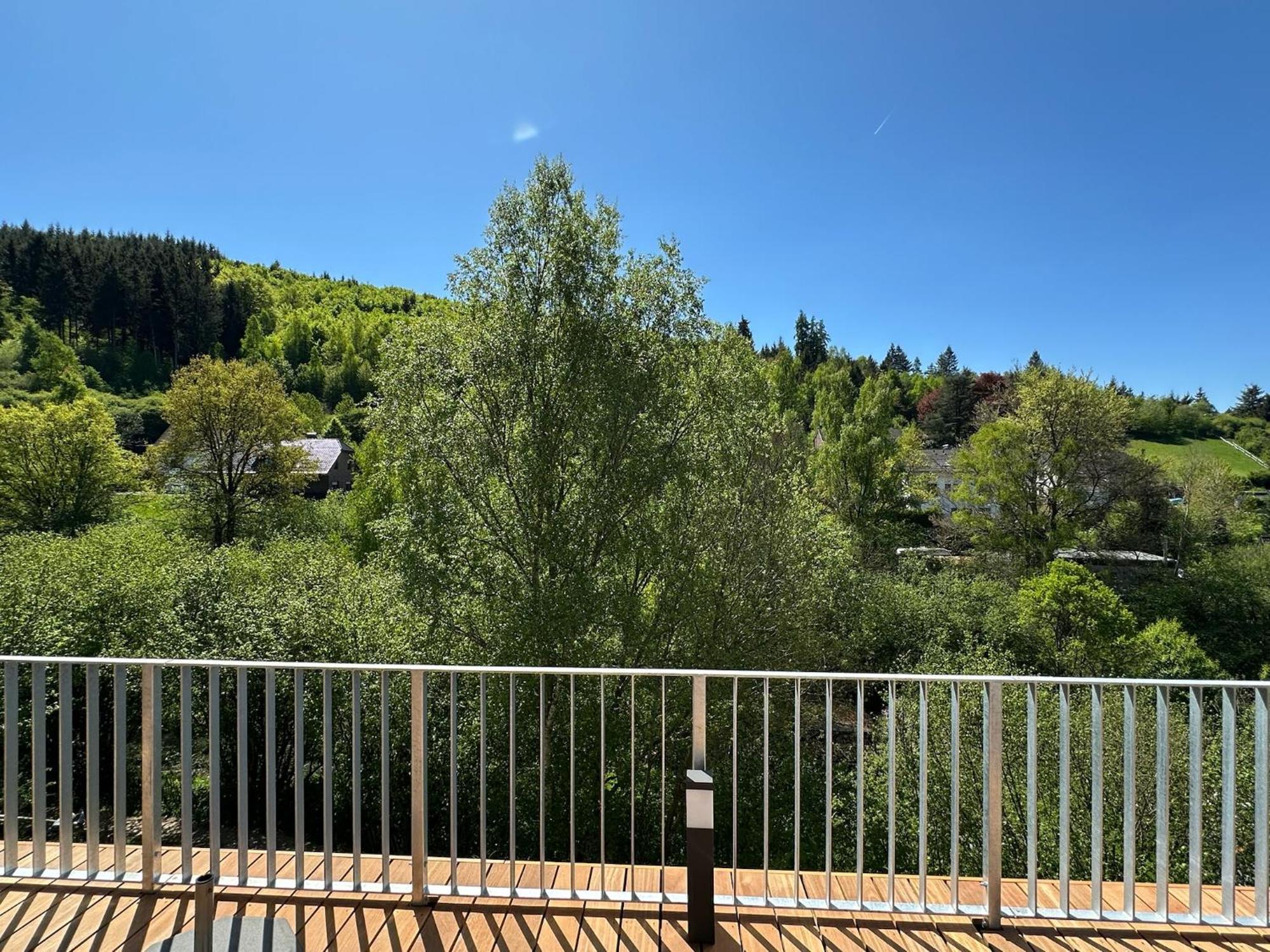 Villa Holgenbach - Penthouse- Und Ferienwohnung Im Nationalpark Eifel Schleiden Esterno foto