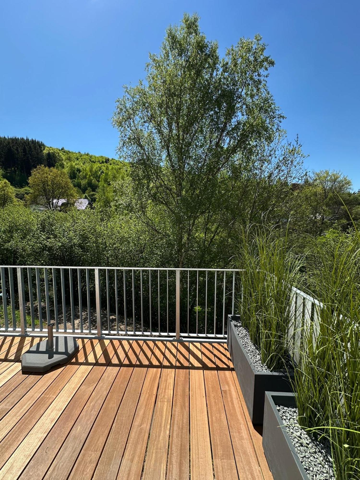 Villa Holgenbach - Penthouse- Und Ferienwohnung Im Nationalpark Eifel Schleiden Esterno foto
